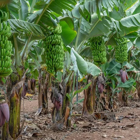 Appartement Rk Costa